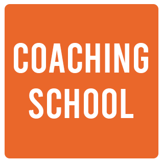 boto3 1 - Visa Coaching Institute ICF coach | Coaching Institute